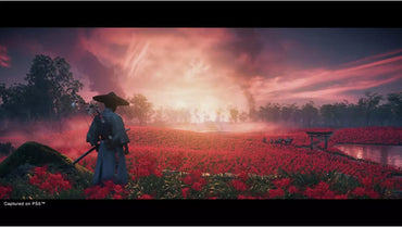 Ghost of Tsushima Director's Cut - PS5