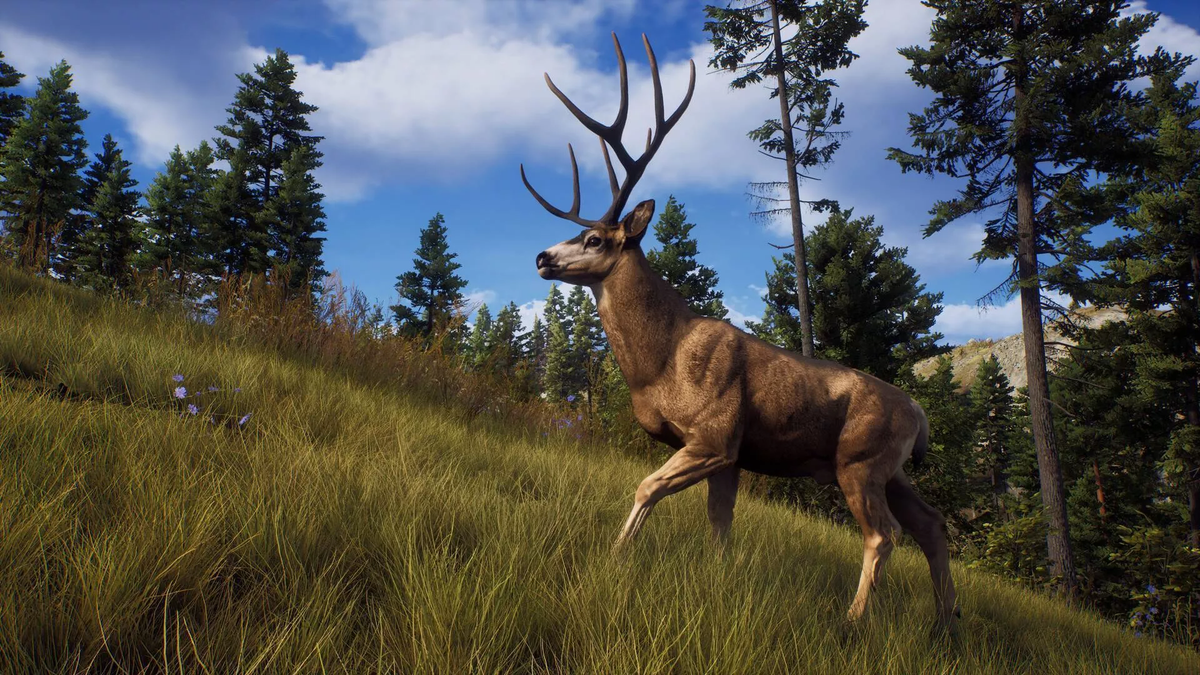 Way of the Hunter - PS5