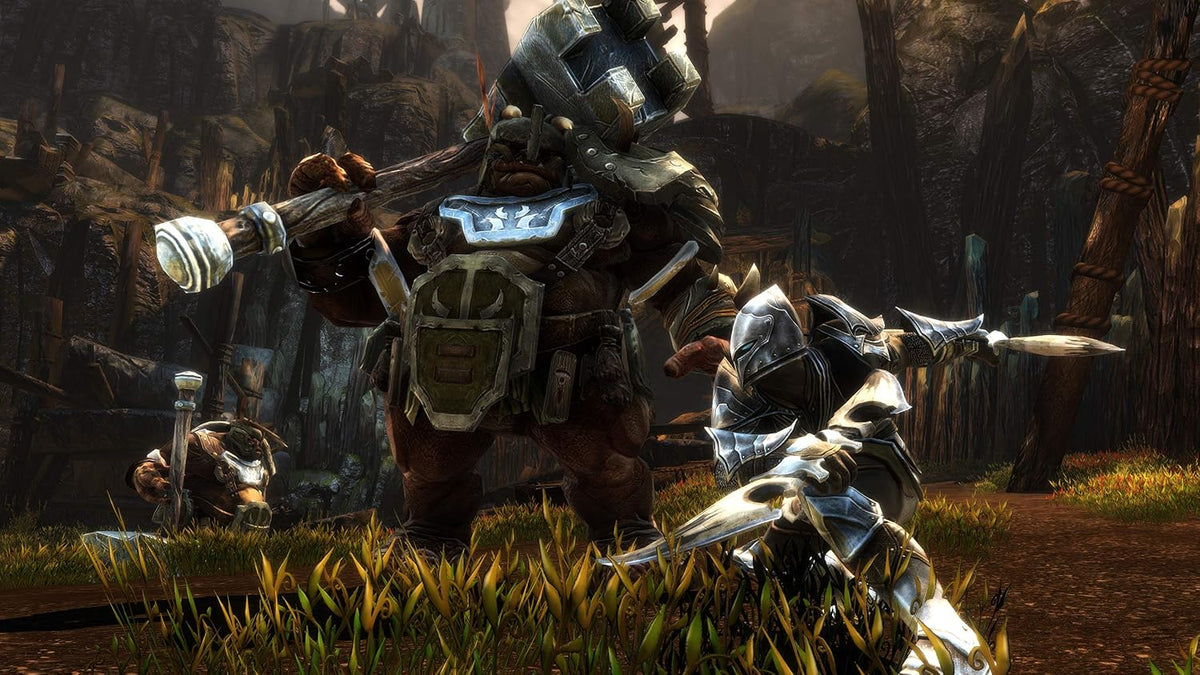Kingdoms of Amalur: Re-Reckoning - Xbox One