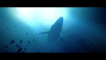 Under the Waves - PS5