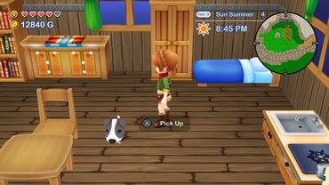 Harvest Moon: Skytree Village + The Lost Valley - Nintendo Switch