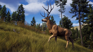 Way of the Hunter - PS5